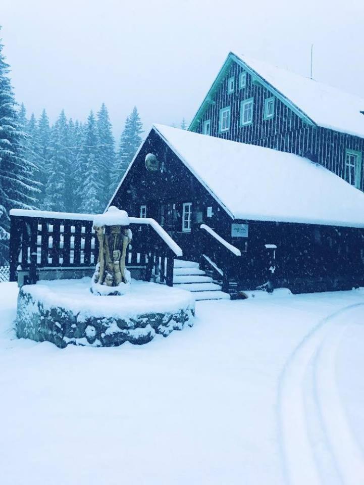 Chata - Sport - Ski Korenov Exterior photo